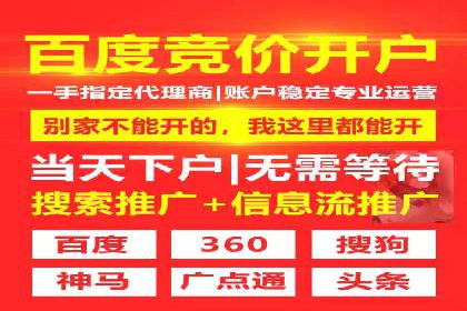 竞价托管SEM的创意与实践：多行业案例集